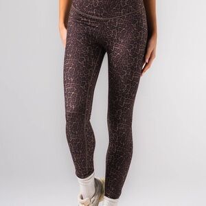 ACTA Leopard Evo Leggings